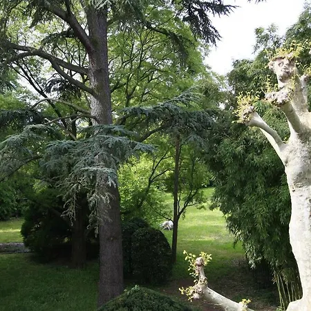 L'oree Du Chateau Roussillon (Isere)